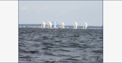 pic06